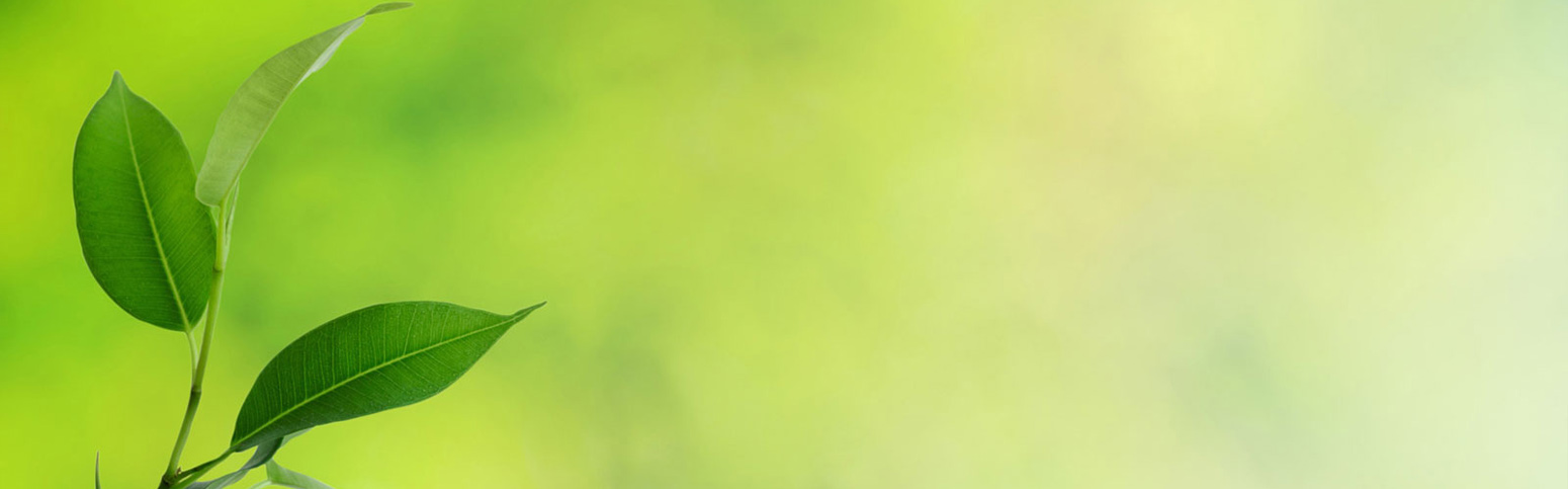 Paper Bags Products supplier in bangalore