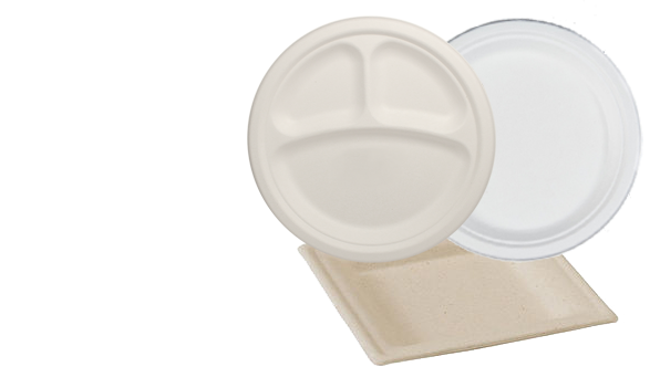 Bagasse Plates in karnataka