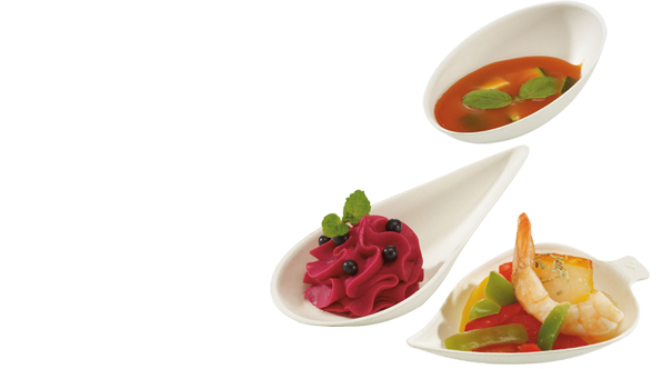 Sugarcane Bagasse Spoons suppliers