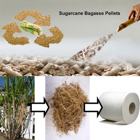 Manufacturing Bagasse products