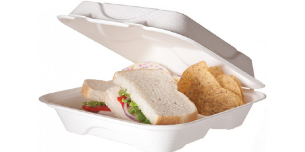 Biodegradable Areca Products