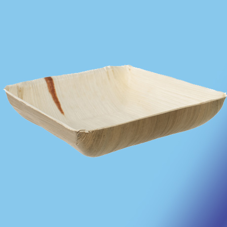 Biodegradable Areca Tray Plates