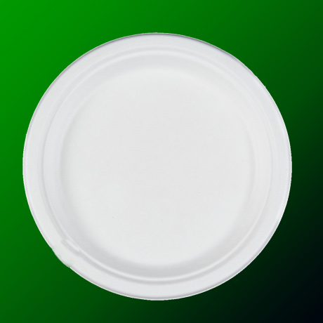 Sugarcane Bagasse Plates