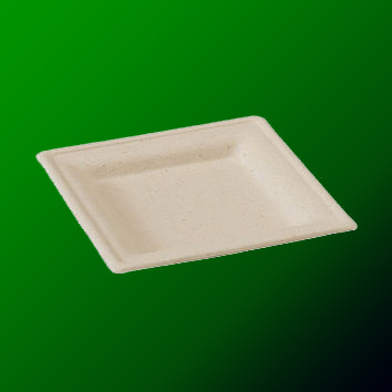 Bagasse Tray Plates