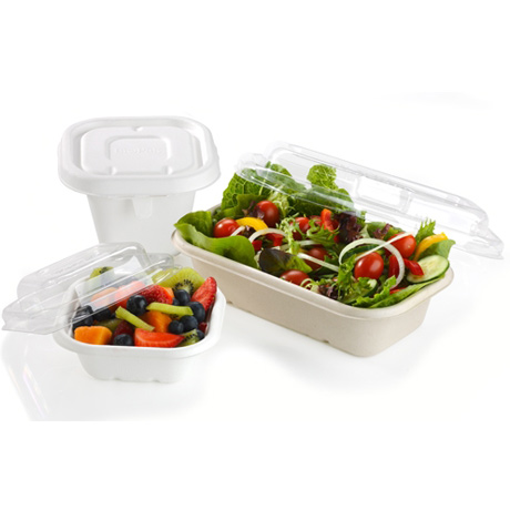 Bagasse Containers Box