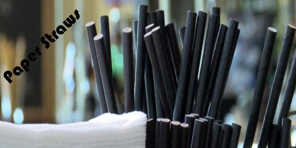 Paper Straws