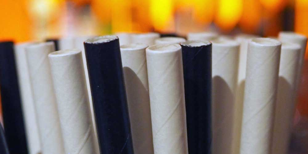 Paper Straws